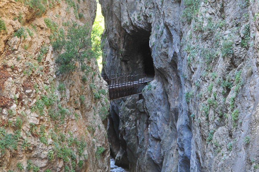 2014.06.18 Zahnradbahn in Griechenland Diakopto–Kalavryta (82)
